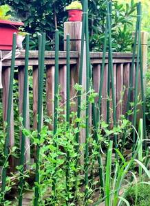 lot 181 image: Garden Stakes 4ft 20pk Planting Stake Sticks $34.99 Retail - Brand New