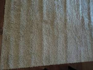 lot 14 image: 6 ft x 4 ft Tan Shag Area Rug...