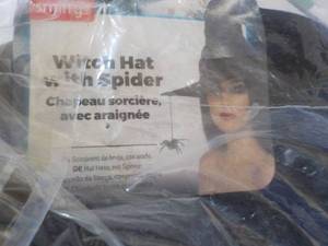 lot 161 image: Witch Hat with Spider...