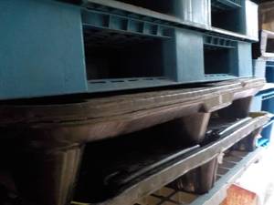lot 256 image: 4 Plastic Pallets...