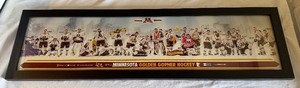 lot 202 image: University of Minnesota Golden Gophers 2013-14 Hockey Team Framed Photo