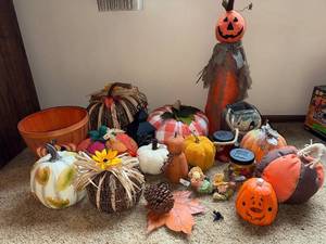 lot 16 image: Large Fall and Halloween Decor Collection with Pumpkins and Jack-o-Lanterns