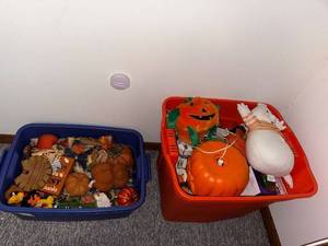 lot 77 image: Large Lot of Fall and Halloween Decor Items in Storage Totes