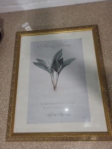 lot 58 image: Vintage Framed MIA Art in Bloom Poster Print 1999