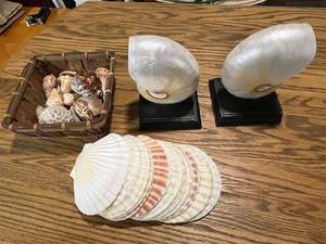 lot 63 image: Collection of Decorative Sea Shells and Nautilus Shell Bookends