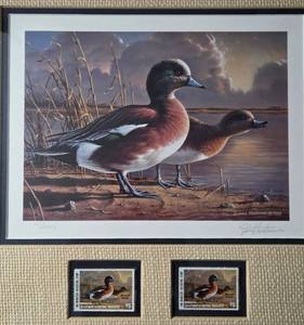 lot 14 image: 11989 Minnesota Duck Stamp Print by artist Jim Hautman. Print is number 1512850 in wooden frame. 18 T x 17 W. Includes 2 1989 $5 Waterfowl stamps of American Wigeon.