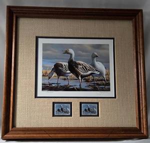 1983 "Blue Geese and Snow Goose" by Gary W. Moss. Print 630/5000. 1983 Minnesota Migratory Waterfowl Stamp. A limited edition print from original oil Painting. 18 1/2" W x 17 1/2" T.&nbsp;&nbsp;