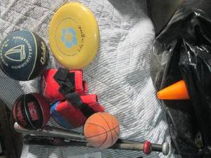 lot 179 image: Garbage bag with assorted sporting ...