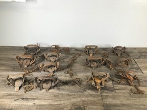lot 231 image: Lot of 13 Hunting Traps