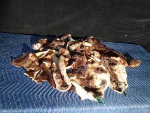 lot 140 image: Beaver Fur Pieces