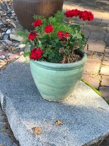 lot 313 image: Large flowerpot with flowers