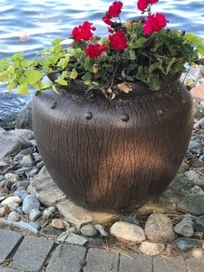 lot 312 image: Large flowerpot with flowers