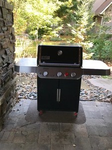 lot 11 image: Weber Genesis gas grill
