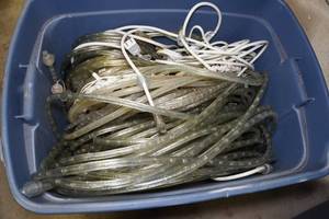 lot 95 image: Rope Lights