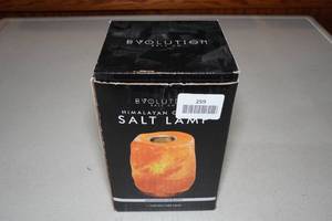 lot 259 image: Himalayan Crystal Salt Lamp