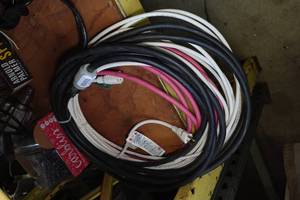 lot 116 image: Extension Cords