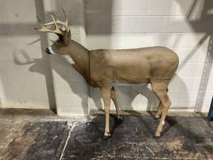 lot 2 image: Primos Scar Deer Decoy