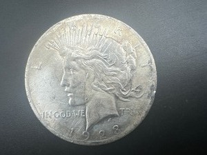 lot 45 image: 1923 Peace Silver Dollar