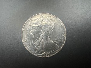 lot 63 image: 1992 American Silver Eagle 1 Oz. Silver