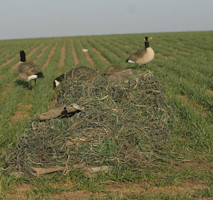 lot 105 image: Killerweed Layout Blind Kit, Winter Wheat