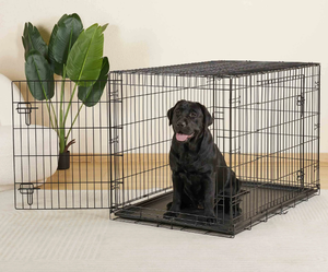 lot 134 image: Vibrant Life Wire Dog Crate, Double-Door, Divider and Leak-Proof Tray, Metal, Foldable, Durable, Black, 42