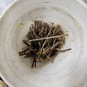 lot 25 image: 5 Gallon Bucket of 12 Forever Nails from Concrete Job