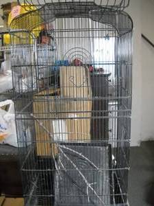 lot 25 image: Bird Cage