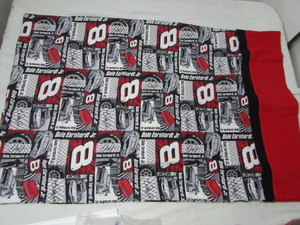lot 43 image: Dale Earnhardt JR Pillow Case