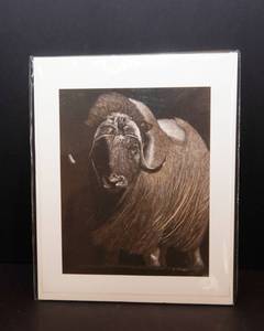 lot 246 image: Dorene McDaniel Yak Art Print  7.75 x 9.25