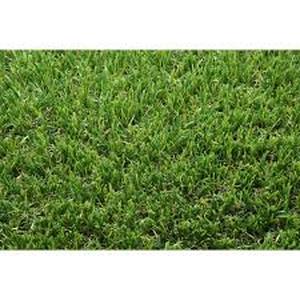 lot 57 image: TrafficMaster Pre Cut Turf 5 ft. x 7 ft. Green Artificial Grass Rug Customer Returns See Pictures