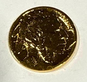 lot 27 image: 24kt Gold Plated Buffalo Nickel
