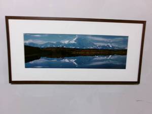lot 199 image: Art Moose in Alaska Photograph