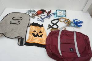 lot 171 image: Pet Accessories & Maroon Wind Blows River Flows Bag