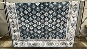 lot 19 image: Wyatt & Ash 53 x 75 Machine Washable Area Rug - no box