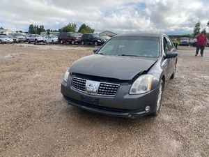 lot 16 image: 2006 Nissan Maxima