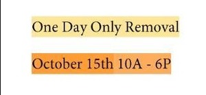 lot 305A image: Mark Your Calendar