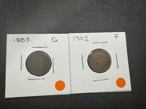 lot 36 image: (2) Indian Head Pennies