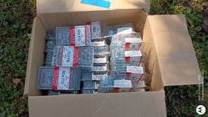 lot 6 image: Lot of Metal Screws Assorted Sizes in Plastic Packaging