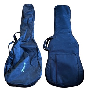 lot 155R image: LR - Two Soft Sided Guitar Bags by Maestro and More