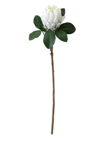 lot 360 image: LOT OF 9 Mainstays 26.5L Artificial Indoor Silk Protea Stem