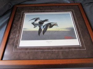 lot 185 image: Ringnecks by Kouba