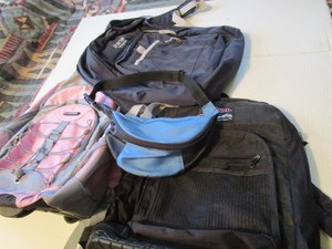 lot 291 image: Backpacks