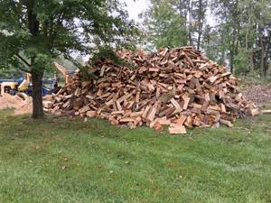 Appx 50 Cords Firewood