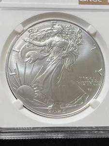 2025 AMERICAN SILVER EAGLE NGC MS69