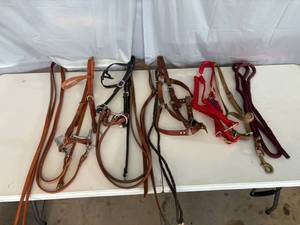 lot 111 image: Horse Equipment