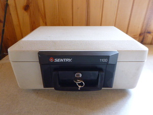 lot 42 image: Sentry Fire-Proof Safe