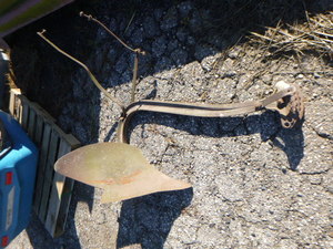 lot 137 image: Vintage Plow