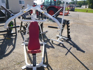 lot 144 image: Cybex Chest Press and Racks