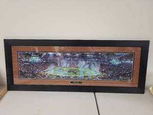 lot 3S image: Framed Super Bowl LII Panorama Photo, Eagles Champions, 2018 Minneapolis