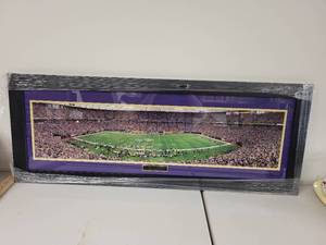 lot 46S image: Minnesota Vikings Mall of America Field Framed Panoramic Stadium Photo